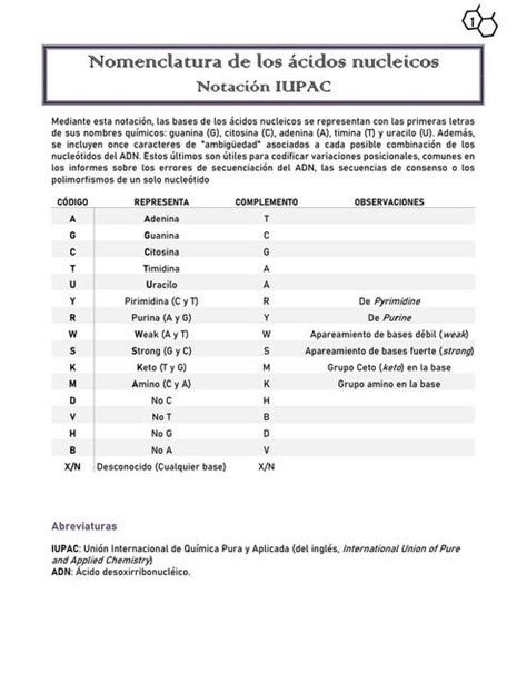 Nomenclatura De Los Ácidos Nucleicos Notación Iupac Aye4a Udocz
