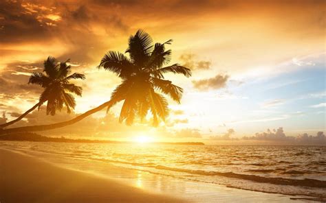 Download Sunset On Beautiful Beach Wallpaper