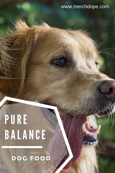 It does not deliver grained carbs to your doggo. Pure Balance Dog Food - 2019 Review - MerchDope #merchdope ...