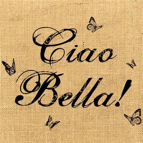 Ciao Bella Italy Europe Romantic Word Butterfly Print On Iro