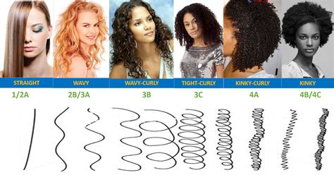 Curl Pattern Chart Male