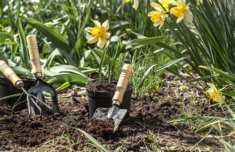 🌵 Tipos De Tierra Para Plantas Guía Completa 2021 Crehana