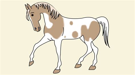How to draw a cartoon horse. Come Disegnare un Semplice Cavallo: 11 Passaggi