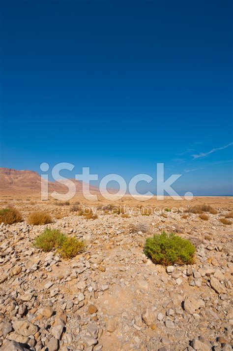 Stone Desert Stock Photo Royalty Free Freeimages
