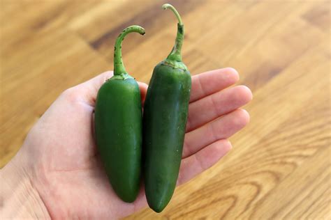 How To Freeze Jalapeno Peppers From The Garden Stuffed Jalapeno