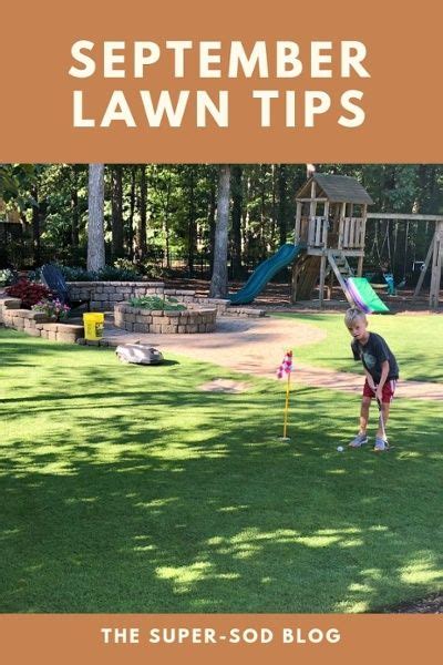Getting rid of zoysia grass needs a combination of two methods. September Lawn Tips (With images) | Zoysia grass care, Grass care, Pergola pictures