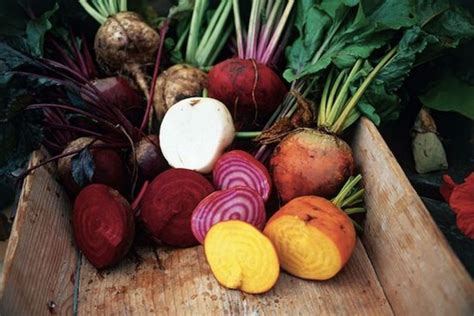 How to Store Root Vegetables For The Winter - Organic Authority