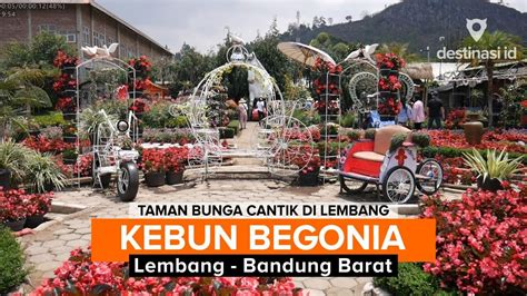 Wisata Kebun Begonia Taman Bunga Lembang Bandung Barat