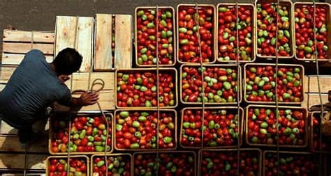 It is a combination farmer's market, food stalls and local shopping (handicrafts, flowers, plants, art, and a whole lot more). Atacado CEAGESP: Preços, Flores, Peixes, Horário