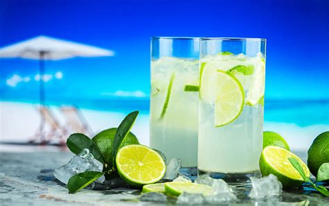 Las bebidas más refrescantes ideales para el verano Serendippias