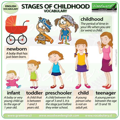 Timeline Of Growing Up Classroom Display Poster Twinkl 52 Off