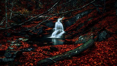 Waterfalls Autumn Dark Forest Foliage Woods Red Leaves Nature