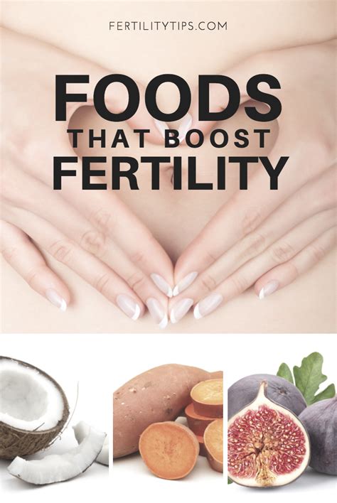 foods that boost fertility foods to boost fertility fertility boost fertility foods