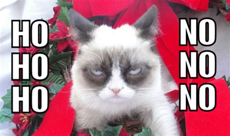 Ho Ho Ho Try No No No Grumpy Cat Know Your Meme