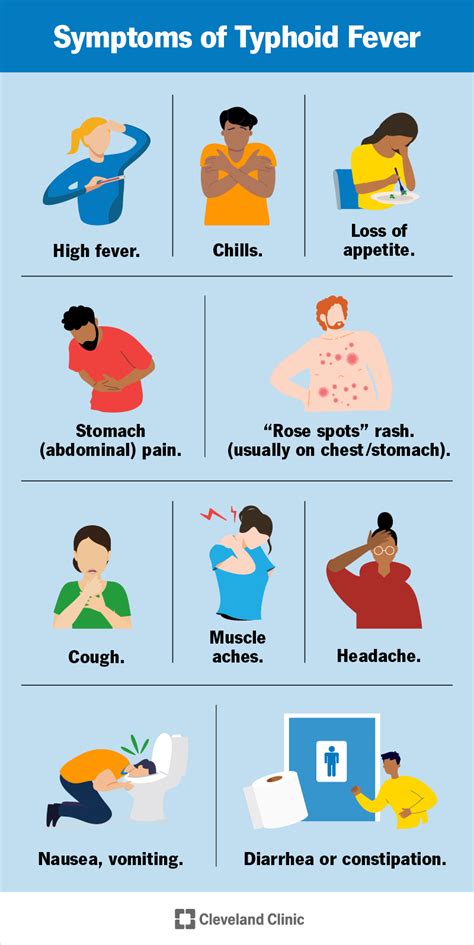 Typhoid Fever Causes Symptoms Treatment