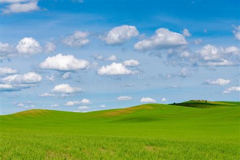 Idyllic Scene Of Green Hills Blue Sky White Clouds In Palouse Hills