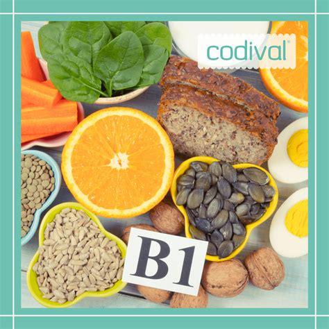 Vitamina B1 Funciones · Para Qué Sirve · Alimentos Ricos En B1