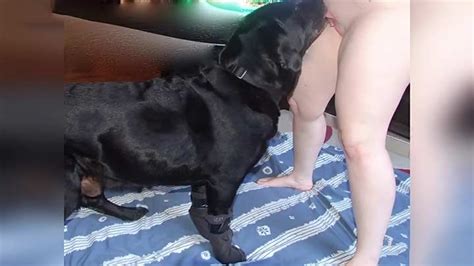 Sensual Babe Gets Oral Sex From Her Dog Beastiality