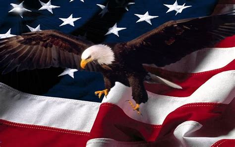 Patriotic Bald Eagle Wallpapers Top Free Patriotic Bald Eagle