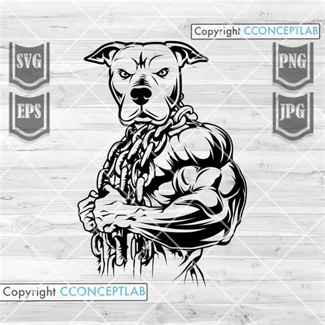 Pitbull Body Builder Svg Wild Dog Cut File Strong Build Animal Clipart