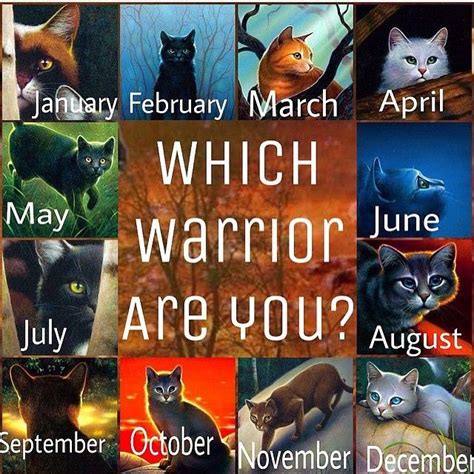 Which Warrior Are You These Cats Are From Dawn Of The Clans So You