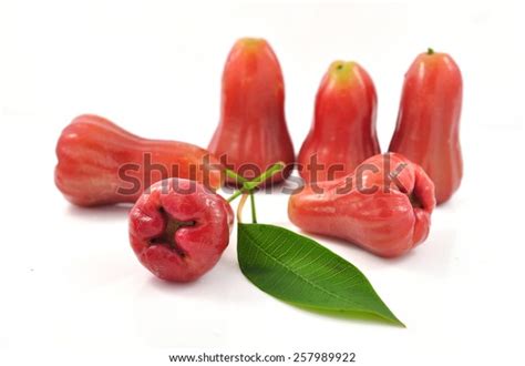 Red Rose Apple Isolated On White Stock Photo 257989922 Shutterstock