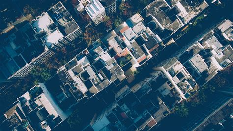 Free Images Tree Horizon Sky Skyline Rooftop Building City