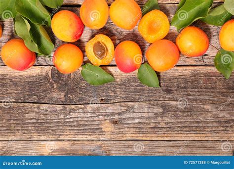 Fresh Apricot Stock Photo Image Of Healthy Fruit Juicy 72571288
