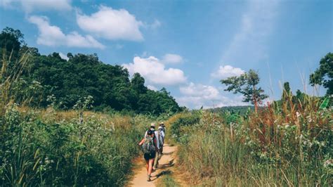 Hiking Cambodias Cardamom Mountains Intrepid Travel Blog