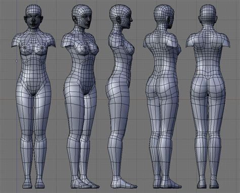 body reference drawing female reference anatomy reference maya modeling modeling tips 3d