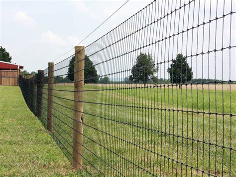 Field Fence With Various Types For Cattle Fencing In Farm