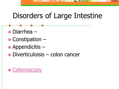 Ppt Chapter 20 Digestive System Powerpoint Presentation Free