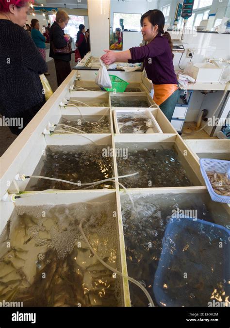 Fish Market In Shanghai China Hi Res Stock Photography And Images Alamy