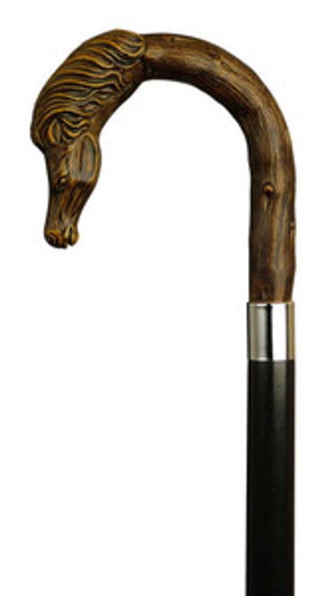 European Crook Handle Horse Head Walking Cane Exquisite Canes