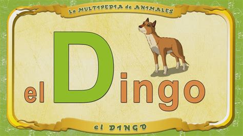 Multipedia De Los Animales Letra D El Dingo Youtube