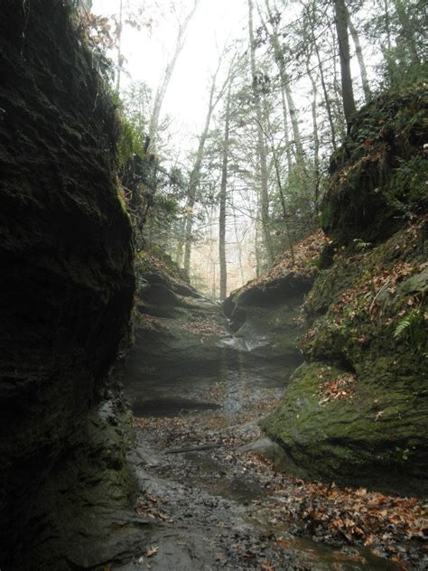 Turkey run state park, in indiana, has tons of adventure options! 97 best images about Turkey Run State Park, Indiana on ...