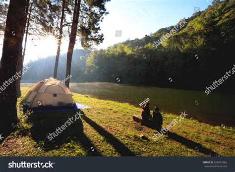 Sun Rise Pangung Pine Forest Thailand Stock Photo 520054285 Shutterstock