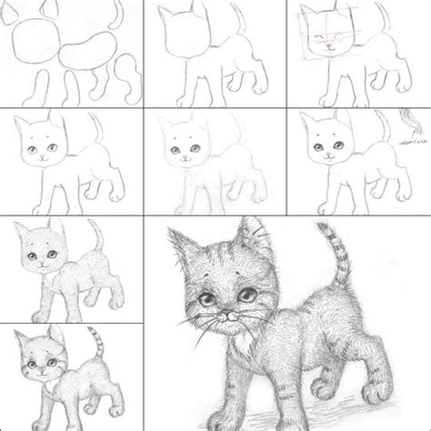 How To Draw A Kitten Easily
