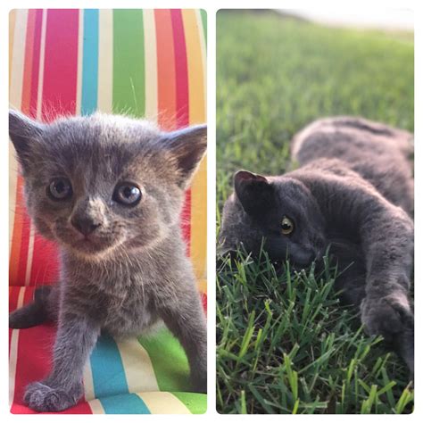 When She Was Still With Her Mom To Now Fromkittentocat