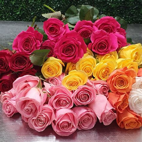 One Dozen Color Roses
