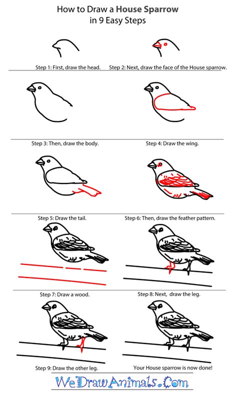Https://tommynaija.com/draw/how To Draw A Bird House Sparrow