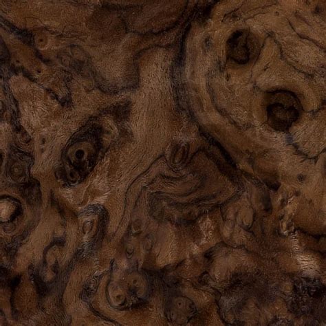 Walnut Burl Dark Fine Wood Texture Seamless 04235