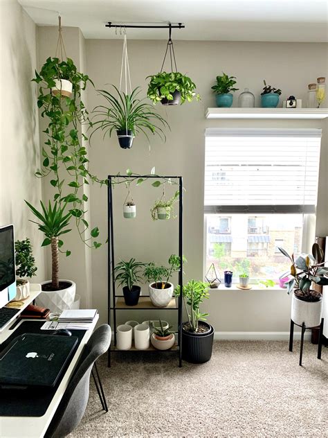 My Home Officeplant Space Is Coming Together Rhouseplants