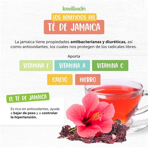 Los Beneficios De La Flor De Jamaica Infografia Agua De Jamaica Para