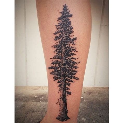 Maybe you would like to learn more about one of these? Redwood tree tattoo by James Tran Full Circle Tattoo San ...