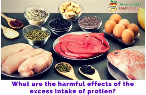 What Are The Harmful Effects Of The Excess Intake Of Protein Quora