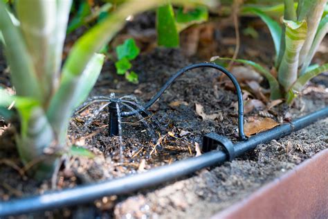 If you will be installing your own sprinkler system, one of the most important parts is the sprinkler manifold valve. Drip Irrigation - Create your own Drip Irrigation System - Holman Industries
