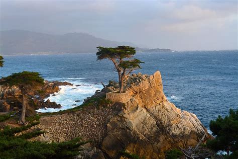Hd Wallpaper Lone Cypress Monterey Sea Water Rock Rock Object