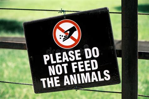 Do Not Feed Animals Sign On Fence At Zoo Park Stock Image Image Of