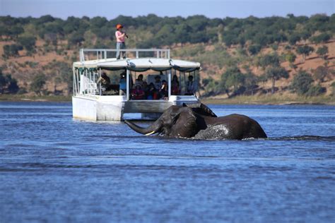 Okavango River Cruise Join Up Safaris